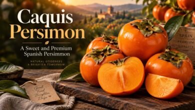 Caquis Persimon