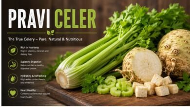 Pravi Celer