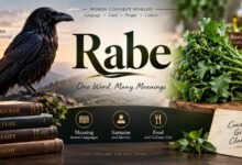 Rabe