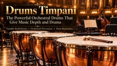 Drums Timpani