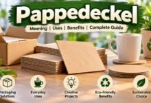 pappedeckel